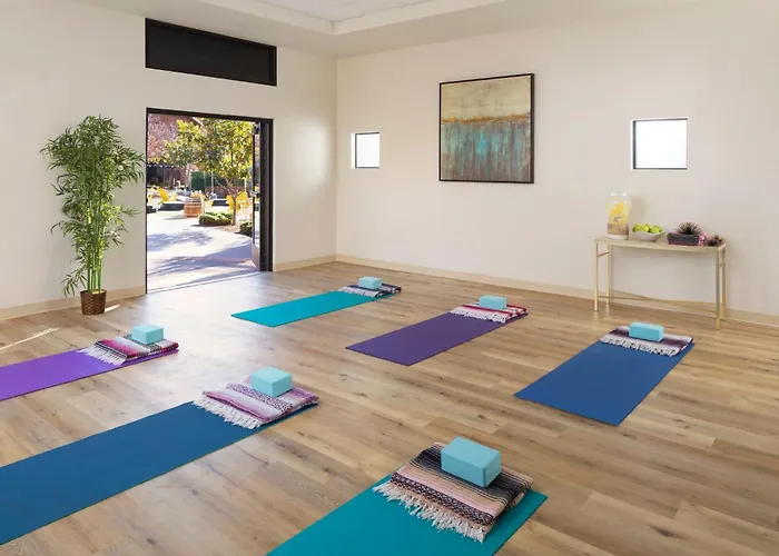 Motels & Luxury Hotels