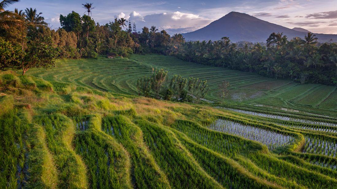 The best of Bali: What it's like to visit now