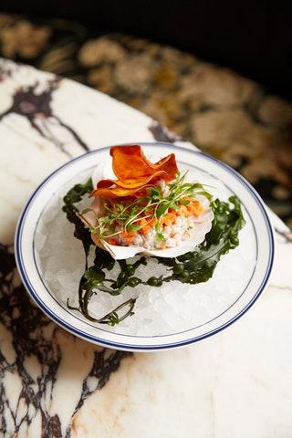 The Maine Hamachi