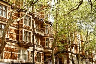 Walking tour