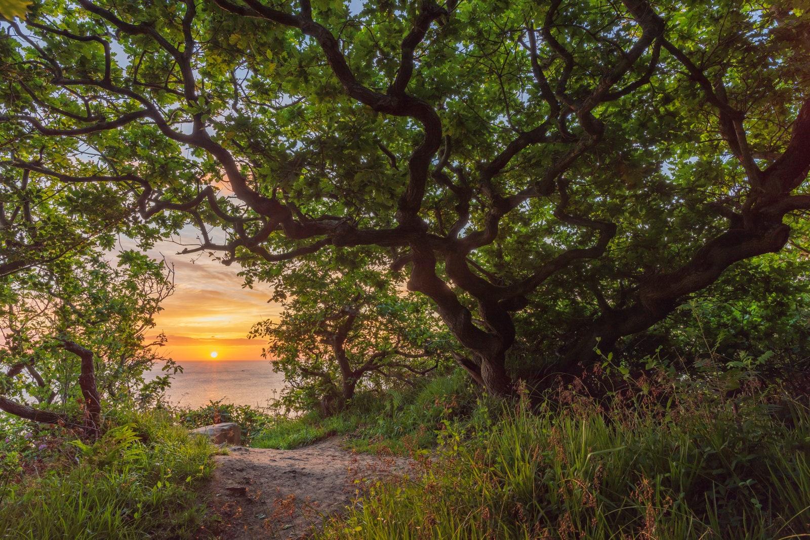 5 insider ways to achieve true relaxation in the North York Moors this autumn